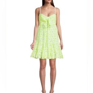 Lilly Pulitzer Briana Dress Pepino Green Mambo Eyelet Size 00
